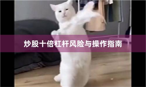 炒股十倍杠杆风险与操作指南